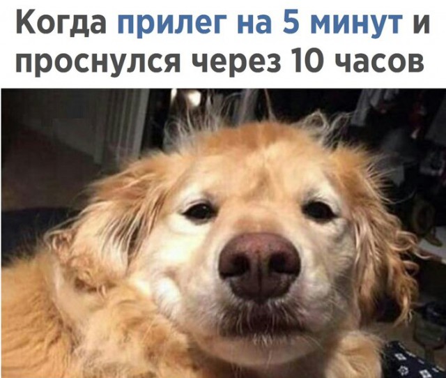 Странный юмор