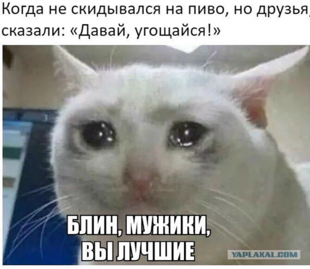 Немного картинок к пятнице