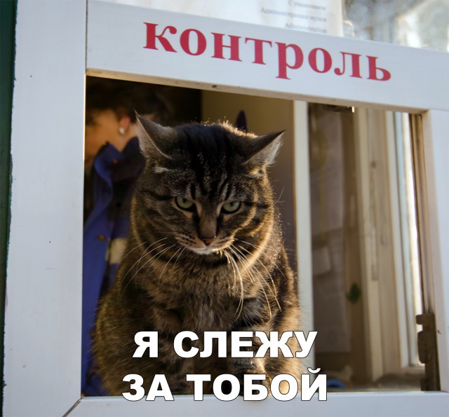 Немного милоты