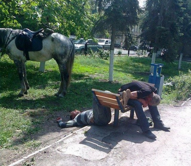 И всё-таки она наша. Лента картинок
