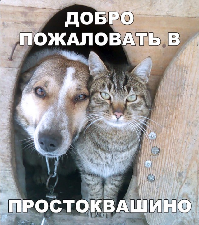 Нестандартный юмор