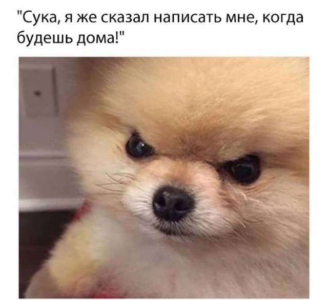 Немного картинок для настроения