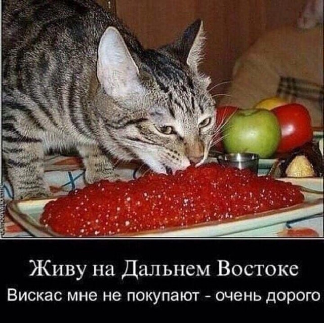 Даёшь картинкой по понедельнику