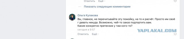 Помогите вернуть кота! Приют "Преданное сердце" украл кота и не отдает!-2