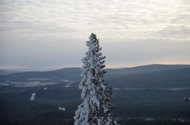 Немного зимних фото