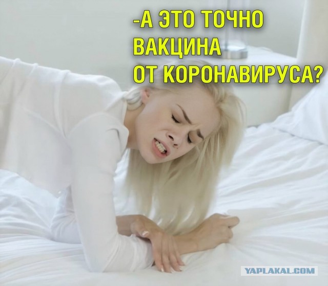 Комментарии к постам в разных группах, которые вызвали улыбку