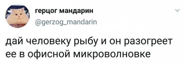 Жиза (наверное с каждым бывало)