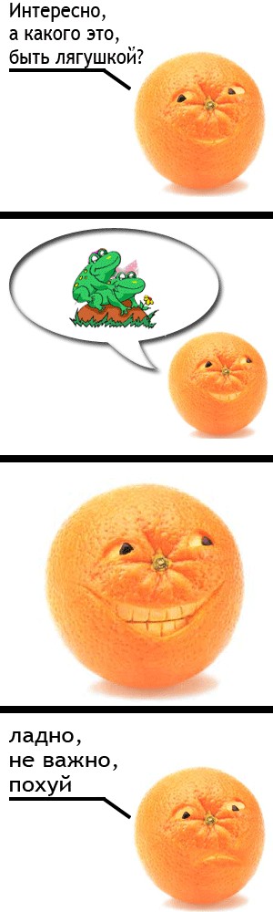 Жабы тоже философствуют: "Каково быть апельсином?"