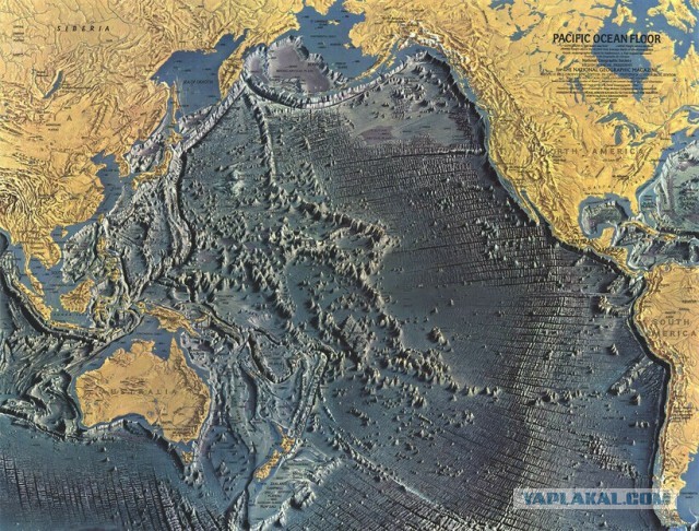 Как выглядит рельеф дна Мирового океана