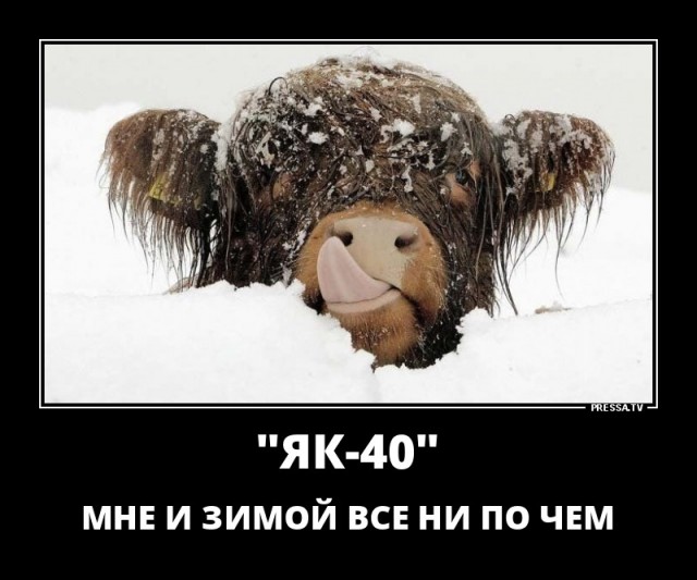 Картинки 19.01.21