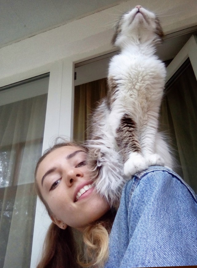 Девушки котовторника