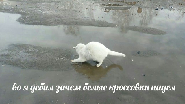 Это просто абсурд какой-то!
