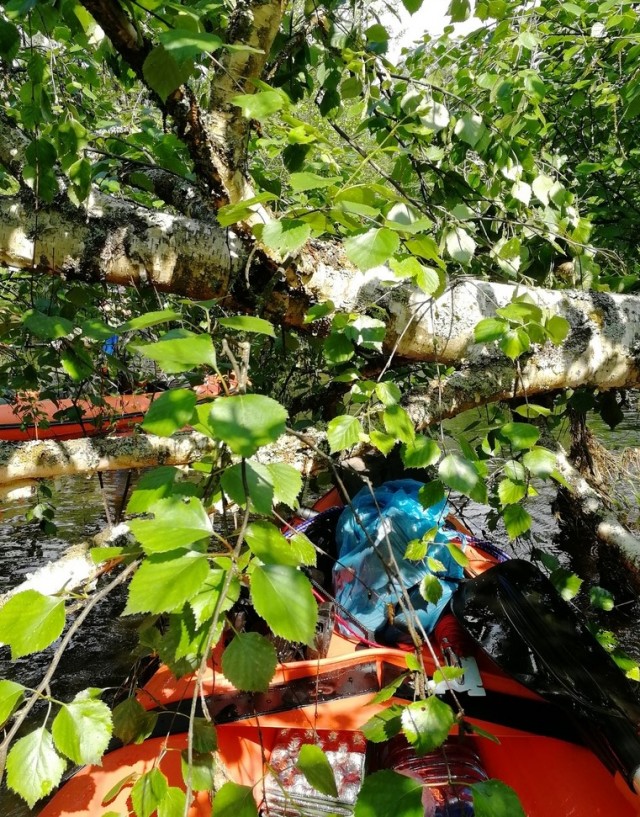 Водный поход по озеру Ломпадь и реке Неполодь 12-14 июня 2021