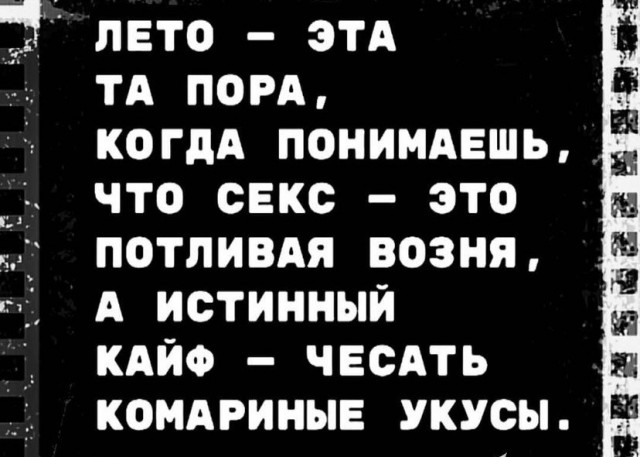 Всяческие картинки 22.06.2021