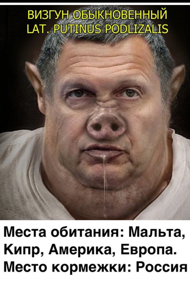 Боня разбушевалась и харкнула в Соловьева