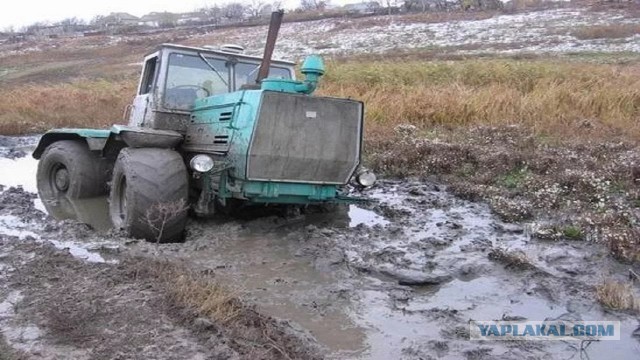 Осенние поля