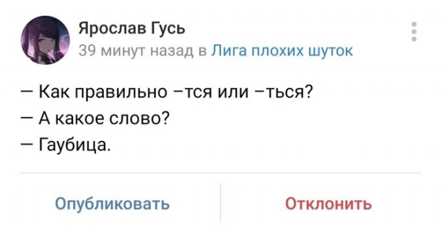 Человек собаке друг и другие картинки под настроение 13.01.2022