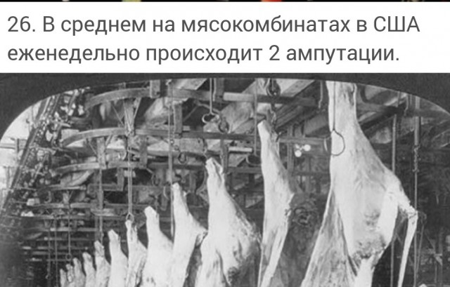 Сегодня я узнал: 40 интересных фактов обо всём
