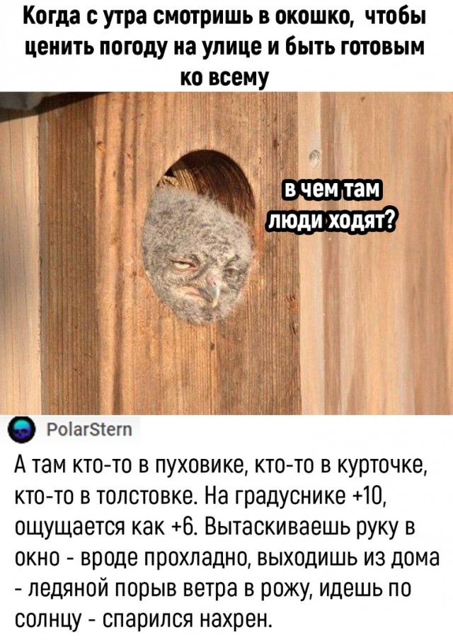 Так себе картинки 26.03.22