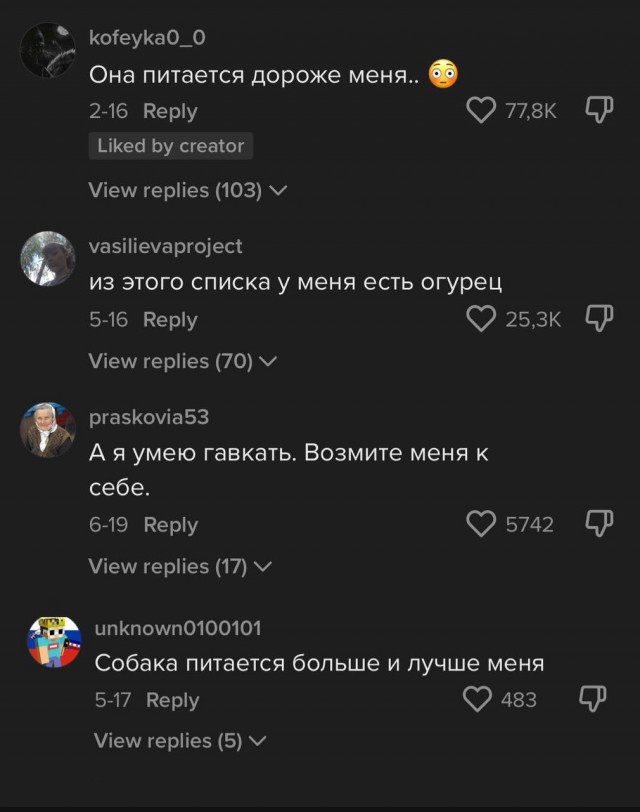 Хозяйка добермана показала обычный рацион своей собаки