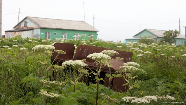 Городок N на Камчатке
