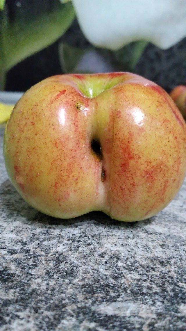 Хе-хе