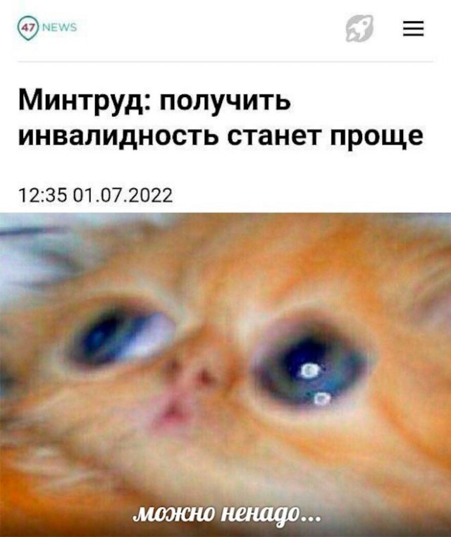 Так себе картинки 24.09.22