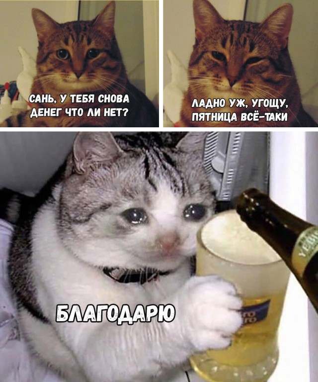 Немного мемчиков. Для взрослых. Часть 24