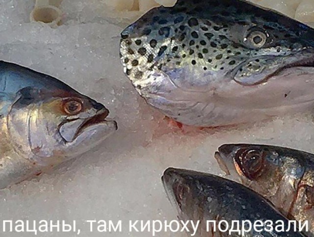 Юмор в картинках и без 22.12.2022