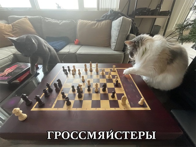 Немного картинок и прочей хреноты Vol. 20
