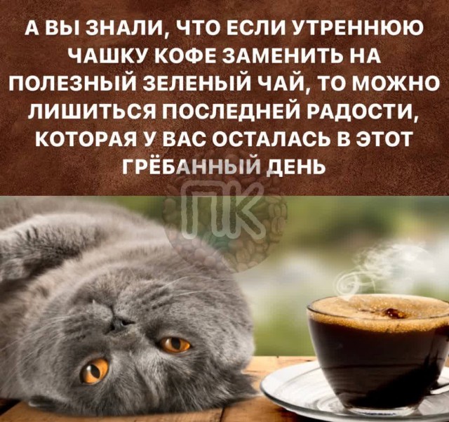 Победная поступь идиотизма по планете – том 8