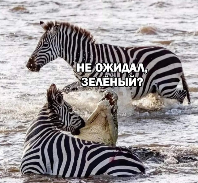 Так себе картинки 15.02.23