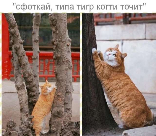 Так себе картинки 14.05.23