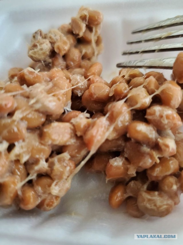 Кулинарная общалка