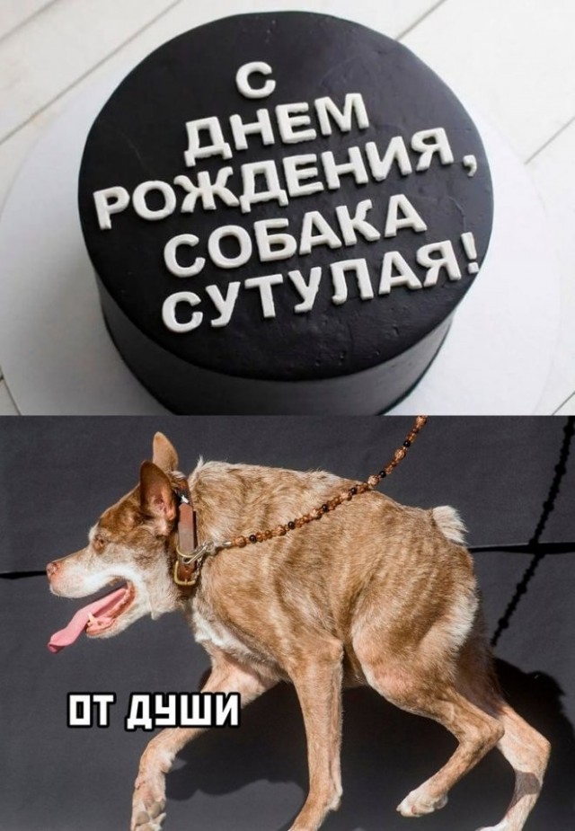 Народная меДИЧина 5009