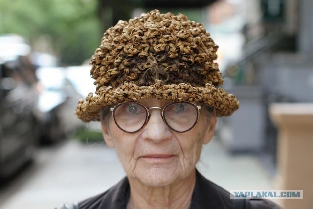 Старики NY