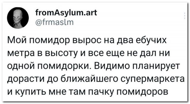 Забавные комментарии из социальных сетей (11.09.23)