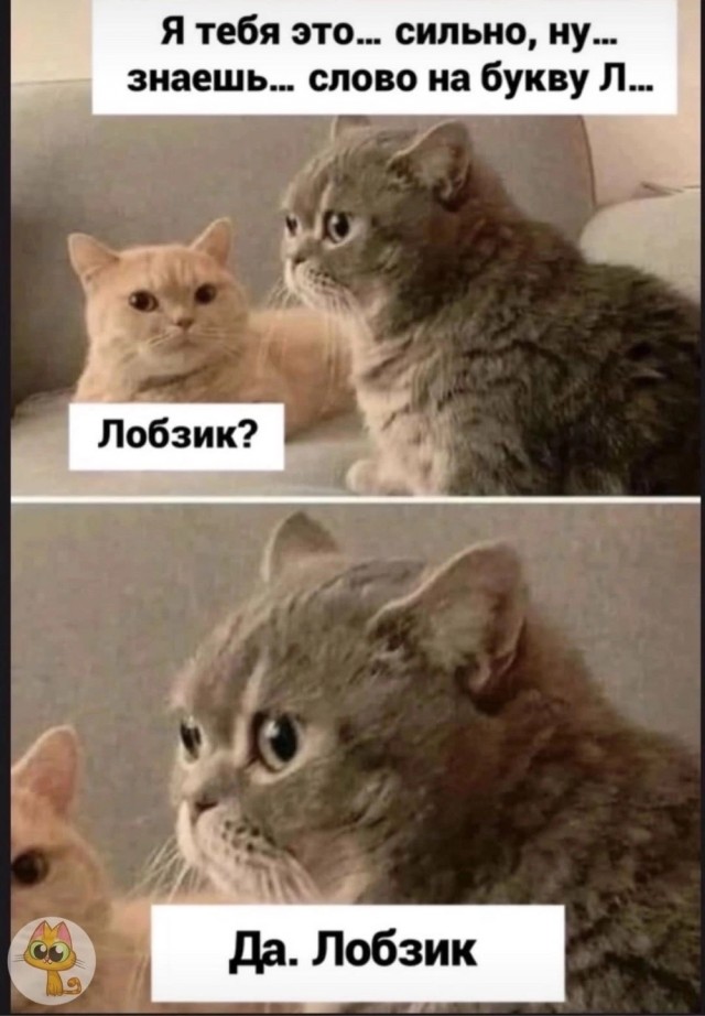 Так себе картинки 18.09.23