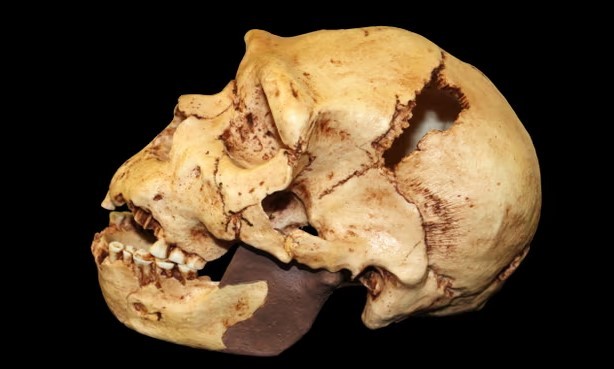 Генетики выяснили, что какая–то катастрофа уничтожила допотопную расу людей