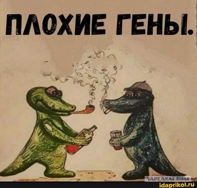 Почему с годами ростет пузо?