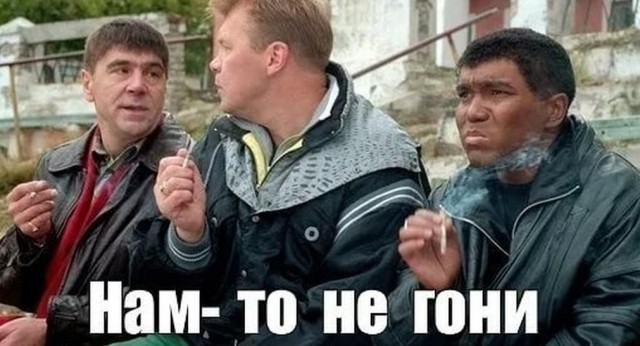 Веселая ферма: кот, который смог...