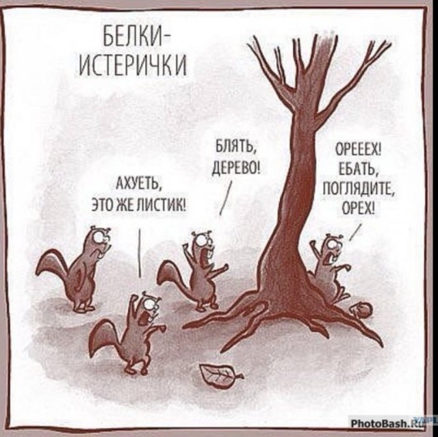 Не понравилась или не понравилось