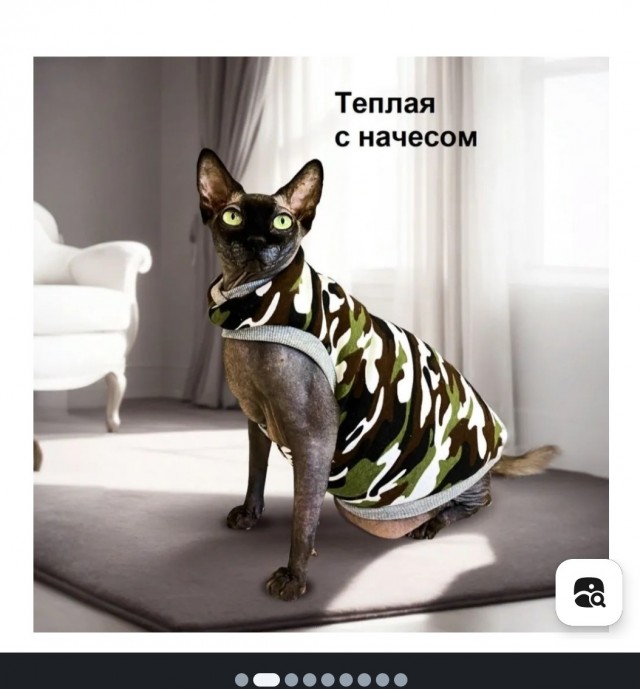 Котофляж