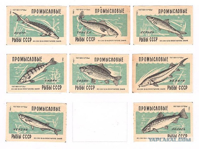 Спичечные коробки из СССР