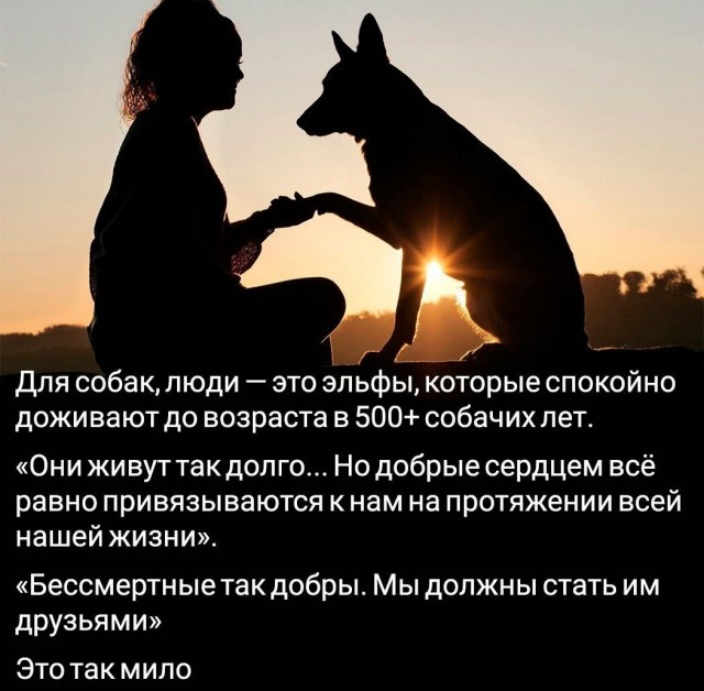 Никакие картинки и такие же тексты