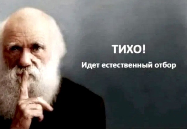 В Москве женщина выпала из окна 16-го этажа, пытаясь сделать селфи