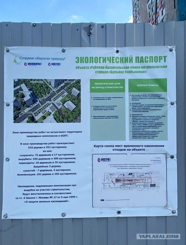 Жители запада Москвы организовали дежурства, чтобы защитить свой район от вырубки деревьев.