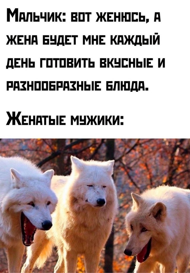 Завалялось тут случайно немного забавных картинок