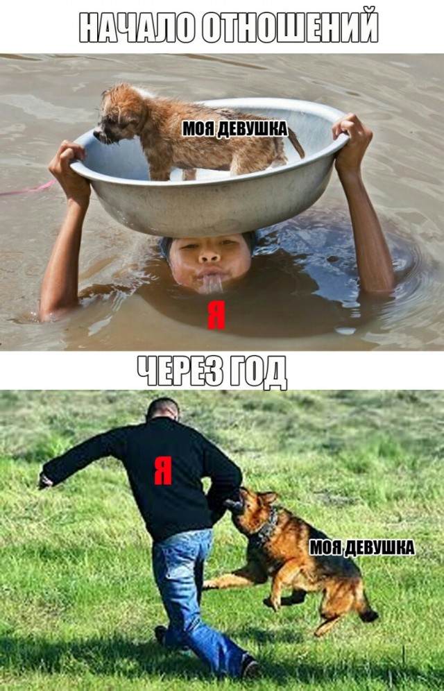 Завалялось тут случайно немного забавных картинок