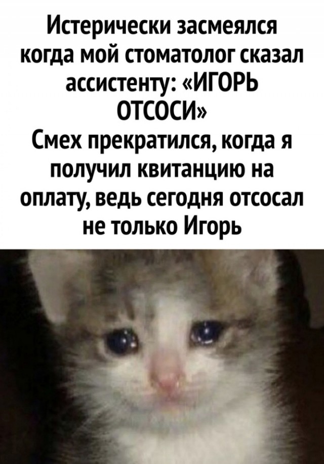 Завалялось тут случайно немного забавных картинок